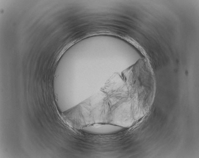 X0000067480945200605051709