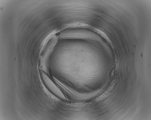 X0000067480946200605051709