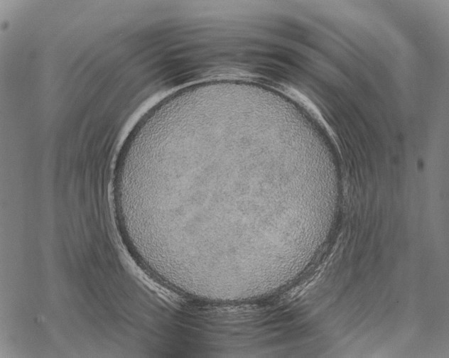 X0000067480947200605051709