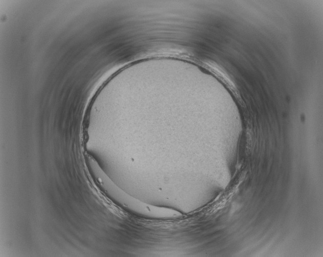 X0000067480948200605051709