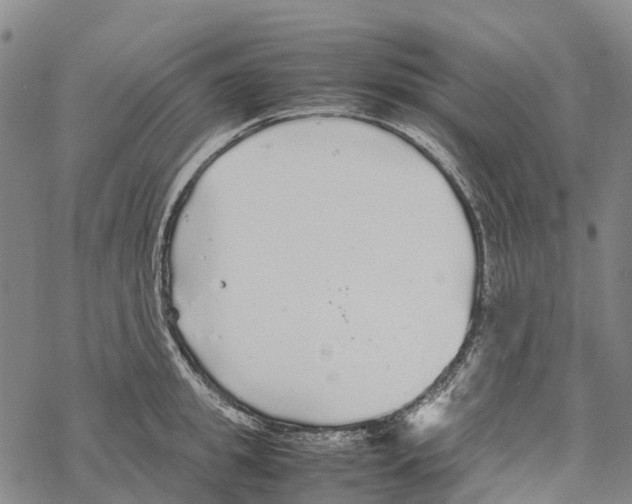 X0000067480949200605051709