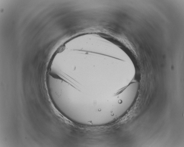 X0000067480950200605051709