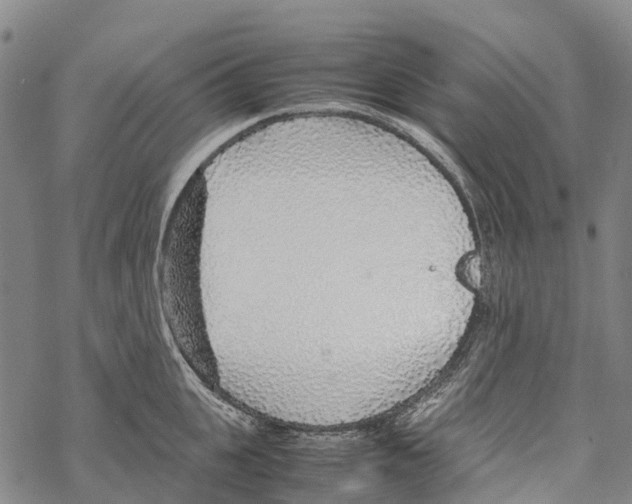 X0000067480951200605051709