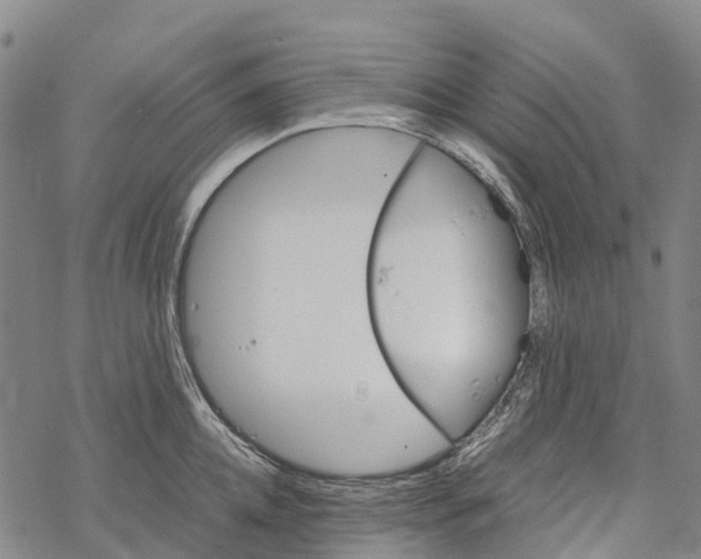 X0000067480952200605051709