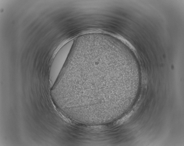 X0000067480953200605051709