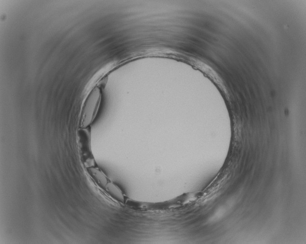 X0000067480954200605051709