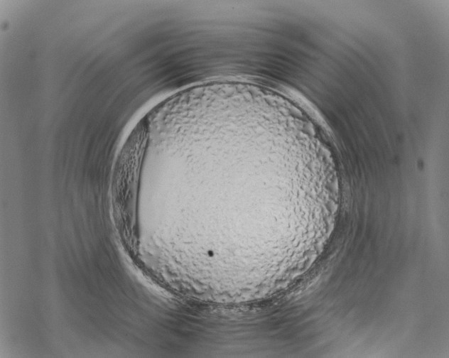 X0000067480955200605051709