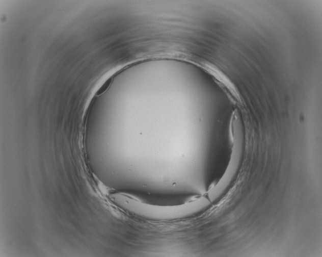 X0000067480956200605051709