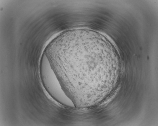 X0000067480957200605051709