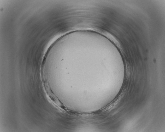 X0000067480958200605051709