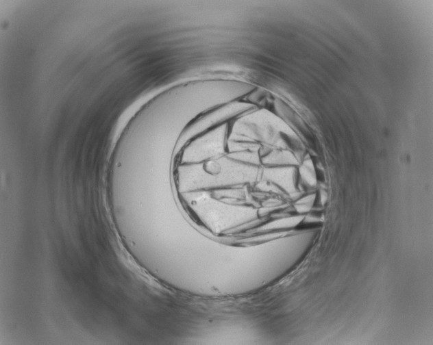 X0000067480960200605051709