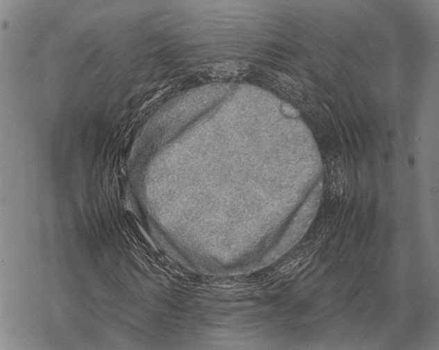 X0000067480962200605051708