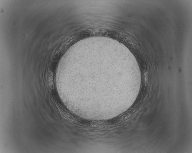 X0000067480963200605051708