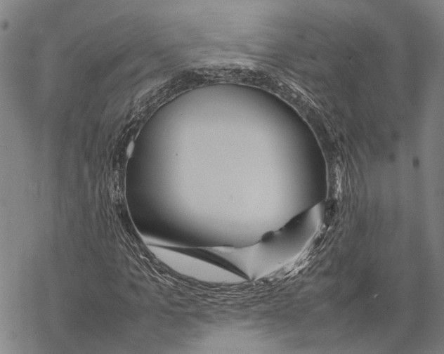 X0000067480965200605051708