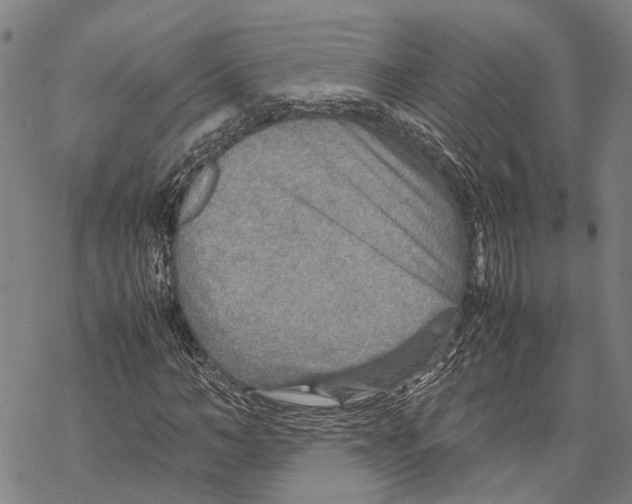 X0000067480966200605051708