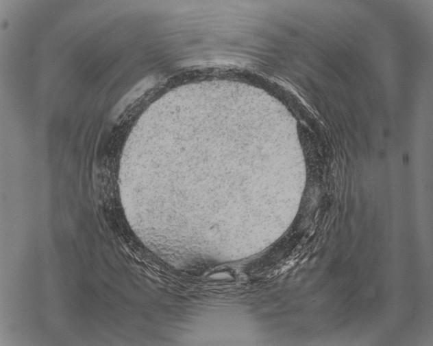 X0000067480967200605051708