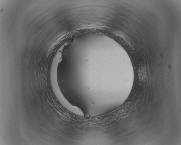 X0000067480968200605051708