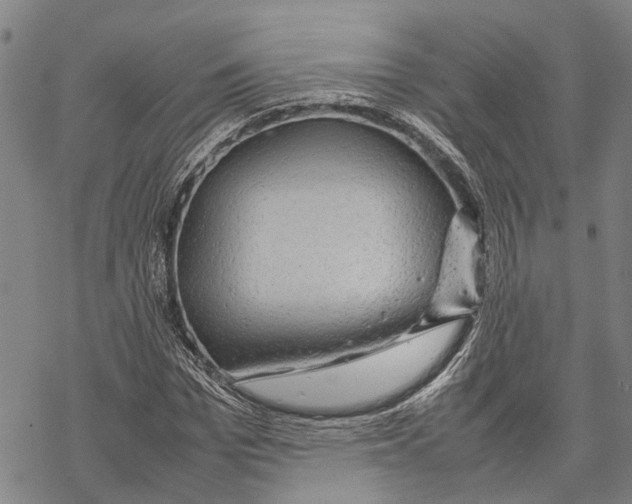 X0000067480969200605051708