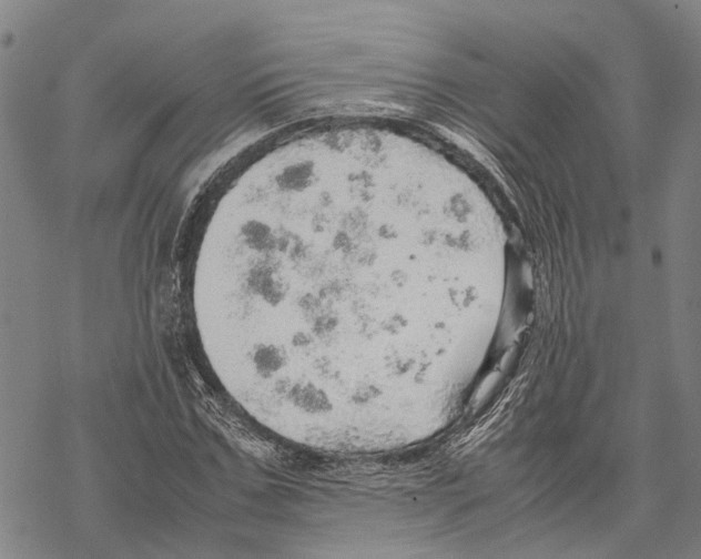 X0000067480971200605051708