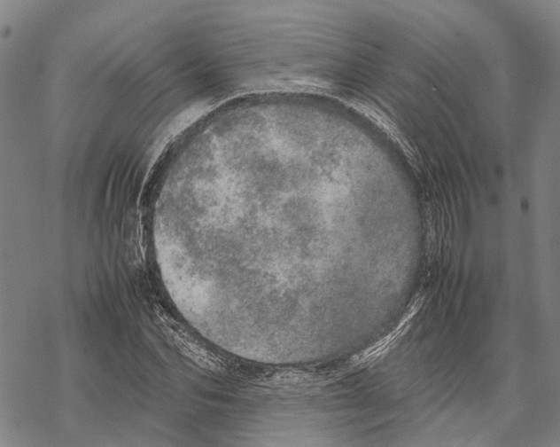 X0000067480974200605051708