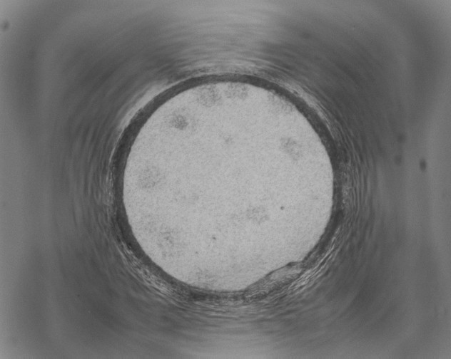 X0000067480975200605051708