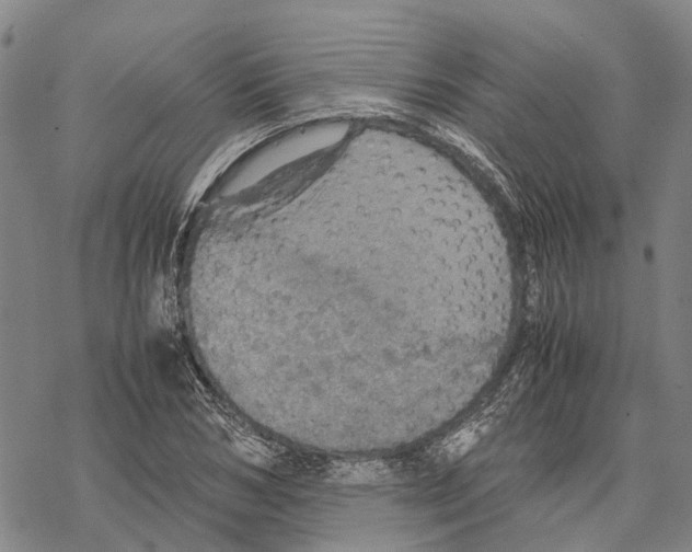 X0000067480978200605051708