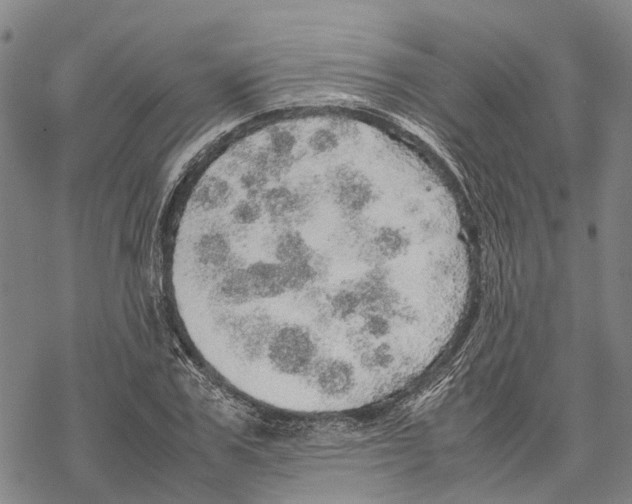 X0000067480979200605051708