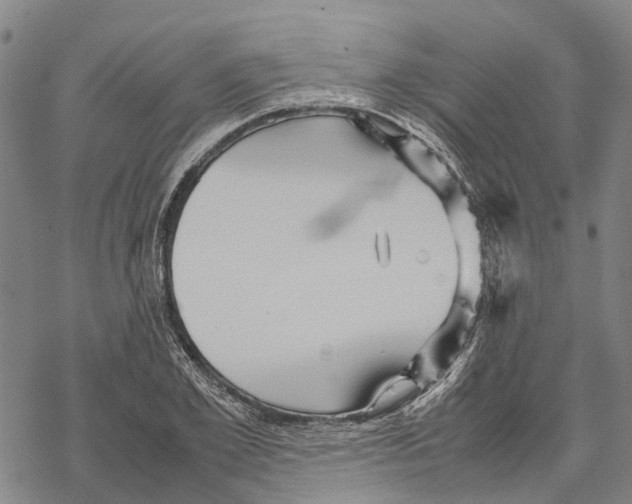 X0000067480981200605051708