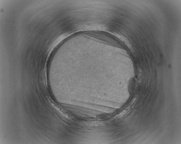 X0000067480982200605051708