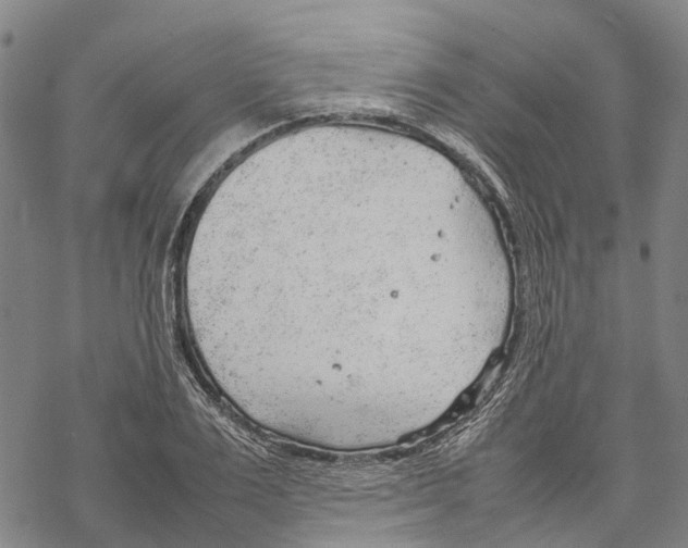 X0000067480983200605051708