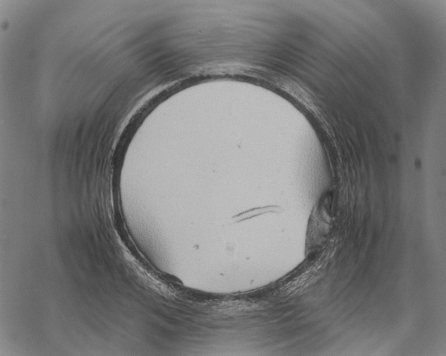 X0000067480984200605051708