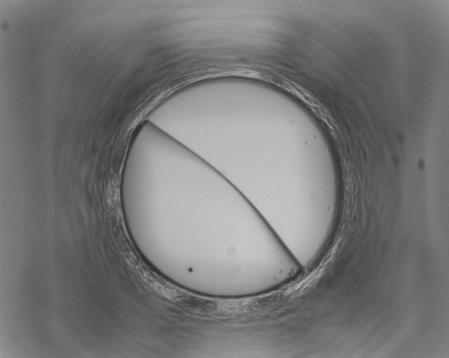 X0000067480985200605051708