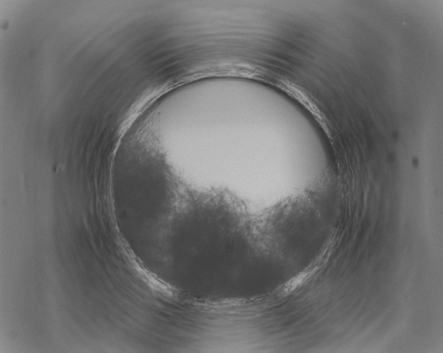 X0000067480986200605051708