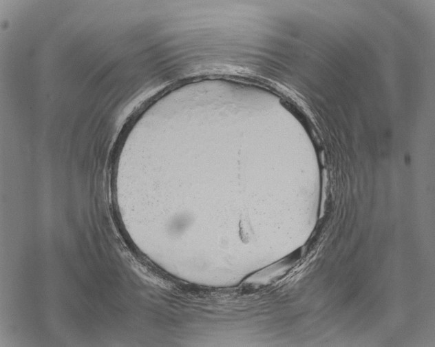 X0000067480987200605051708