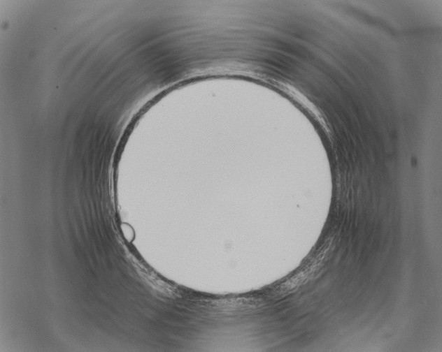 X0000067480988200605051708