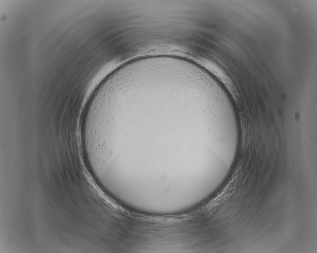 X0000067480990200605051708