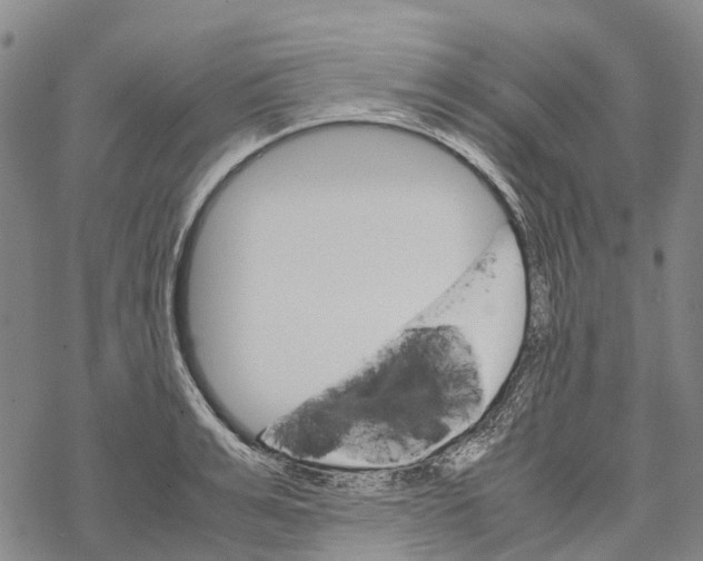 X0000067480991200605051708