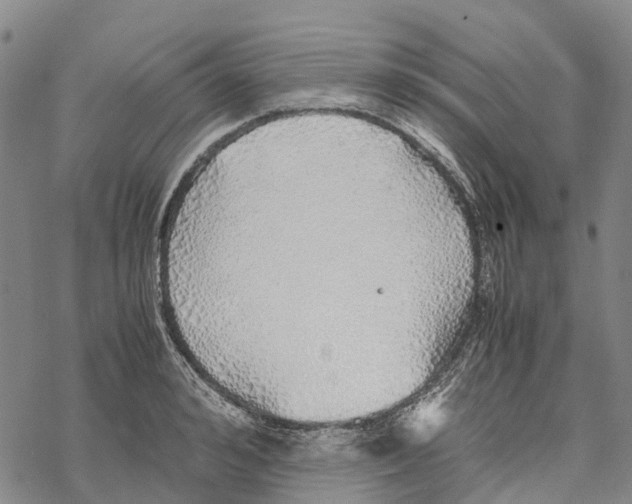 X0000067480992200605051708