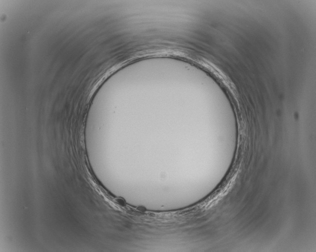 X0000067480993200605051708