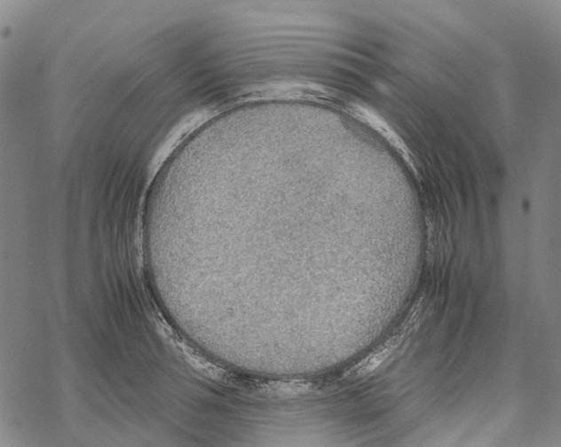 X0000067480994200605051708