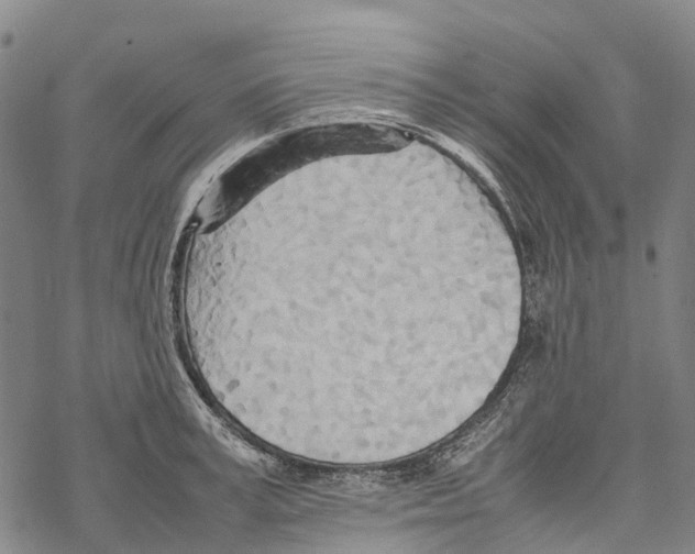 X0000067480995200605051708