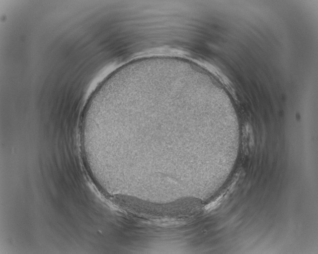 X0000067480998200605051708