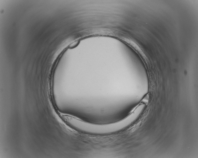 X0000067480999200605051708