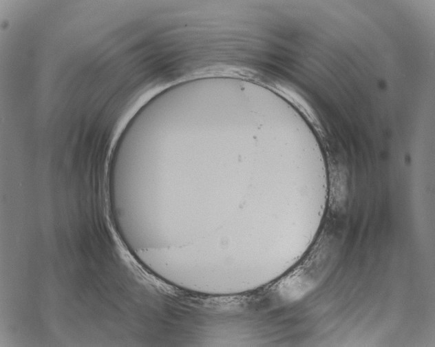 X0000067481000200605051708