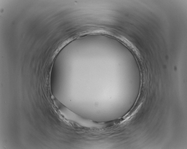 X0000067481001200605051708