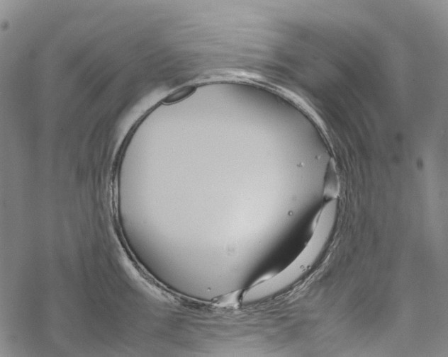 X0000067481003200605051708