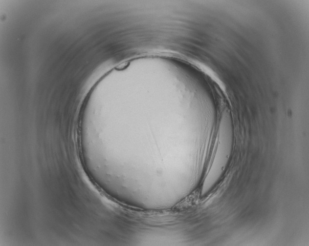 X0000067481007200605051707