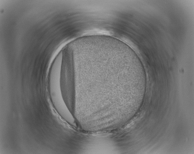 X0000067481008200605051707