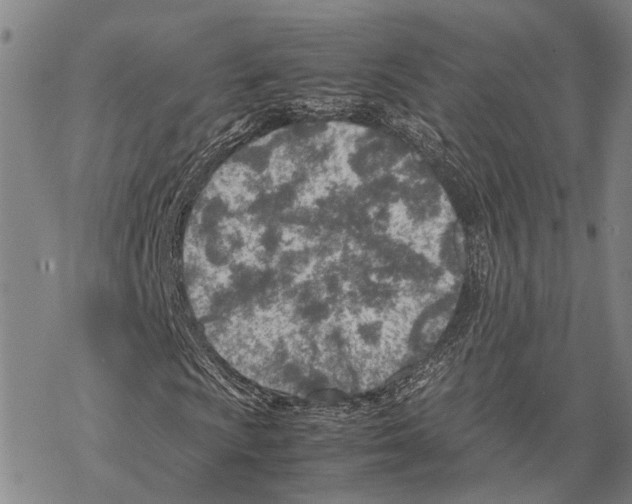 X0000067481009200605051707