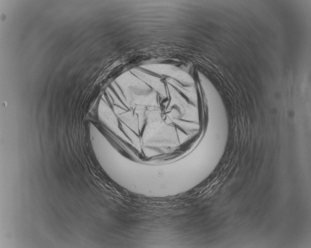 X0000067481010200605051707